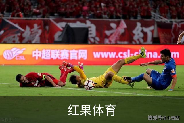 红果体育公司简介图片
